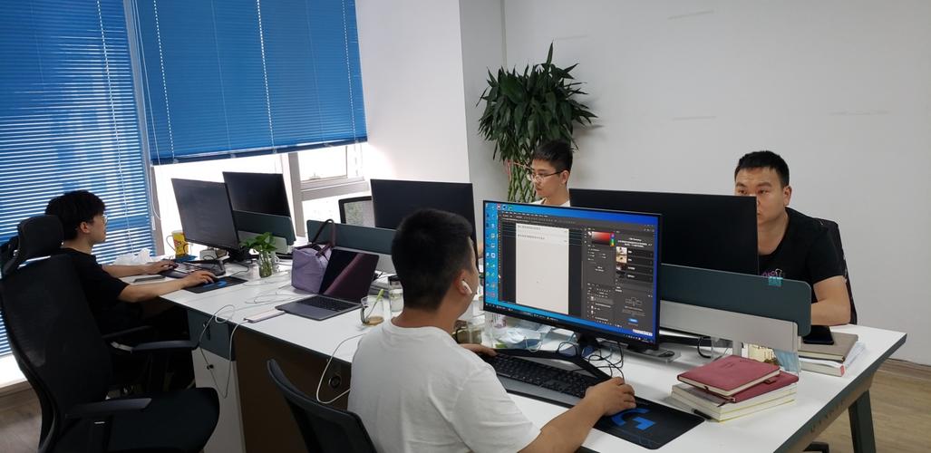 从技术到服务 王世平与软件开发的多维价值